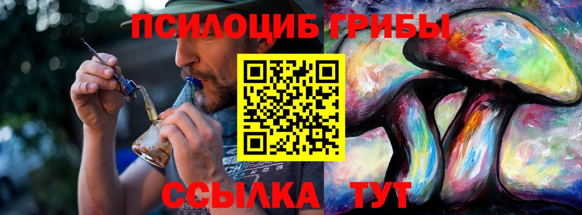 Галлюциногенные грибы ЛСД Северобайкальск