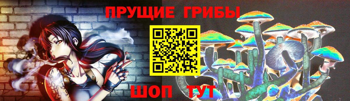 Галлюциногенные грибы GOLDEN TEACHER  Вход с VPN  Северобайкальск  Псилоцибиновые грибы Psilocybe 