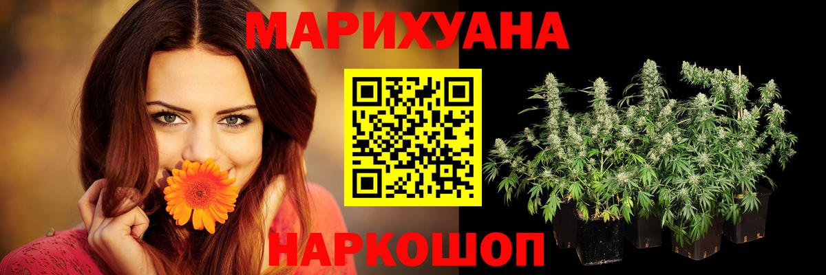 Шишки марихуана семена Северобайкальск